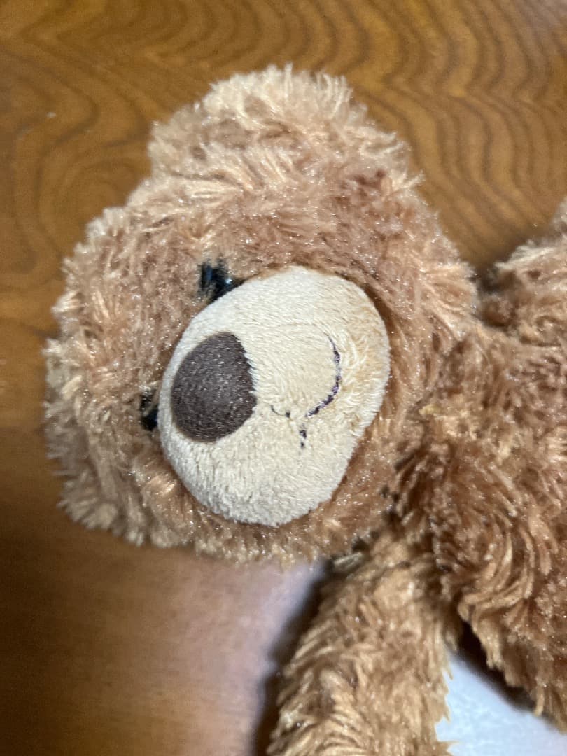 クマのぬいぐるみ