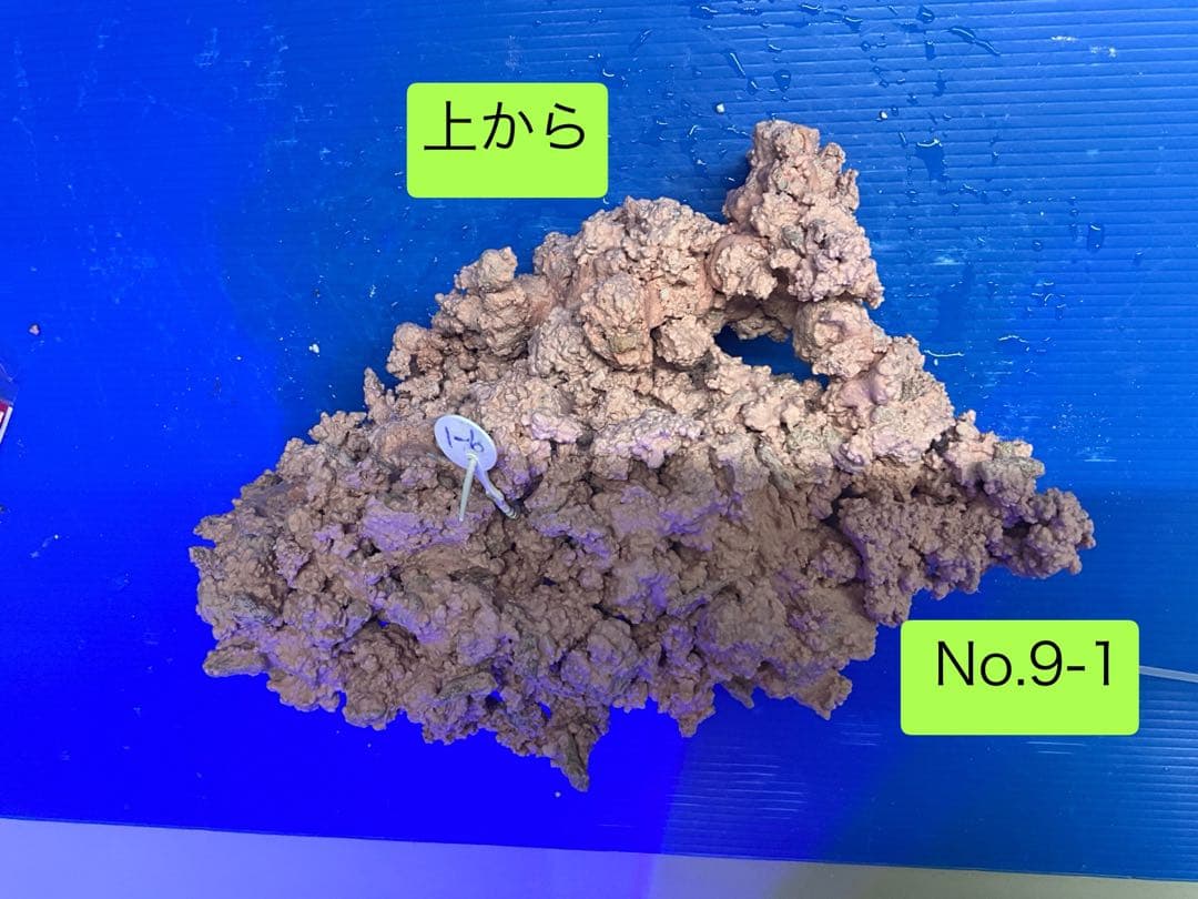 人工ライブロック　お魚たちの隠れ家　No.9-1CO2無害化処理済