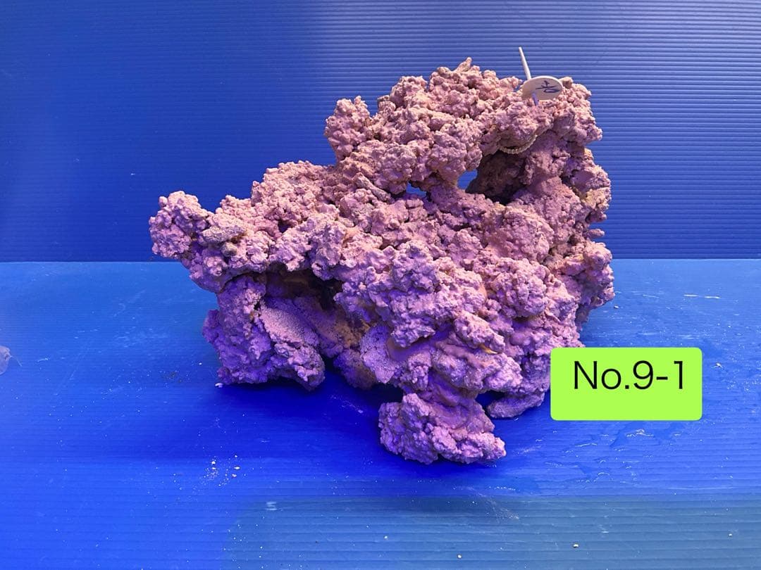 人工ライブロック　お魚たちの隠れ家　No.9-1CO2無害化処理済