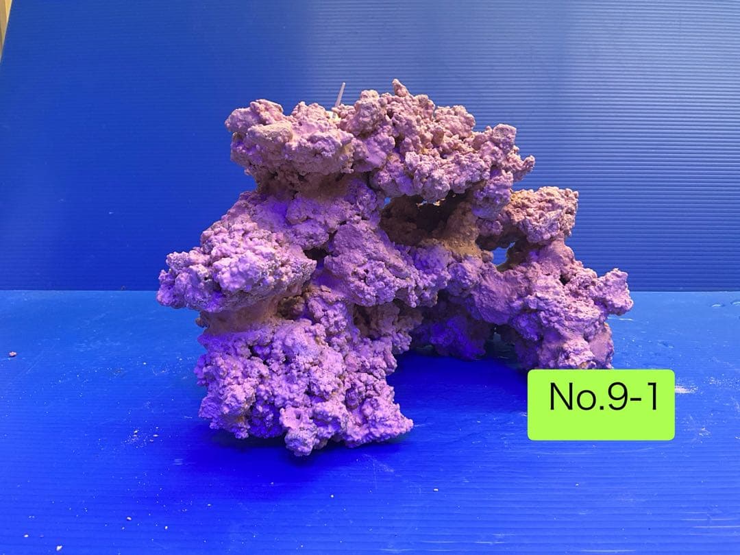 人工ライブロック　お魚たちの隠れ家　No.9-1CO2無害化処理済