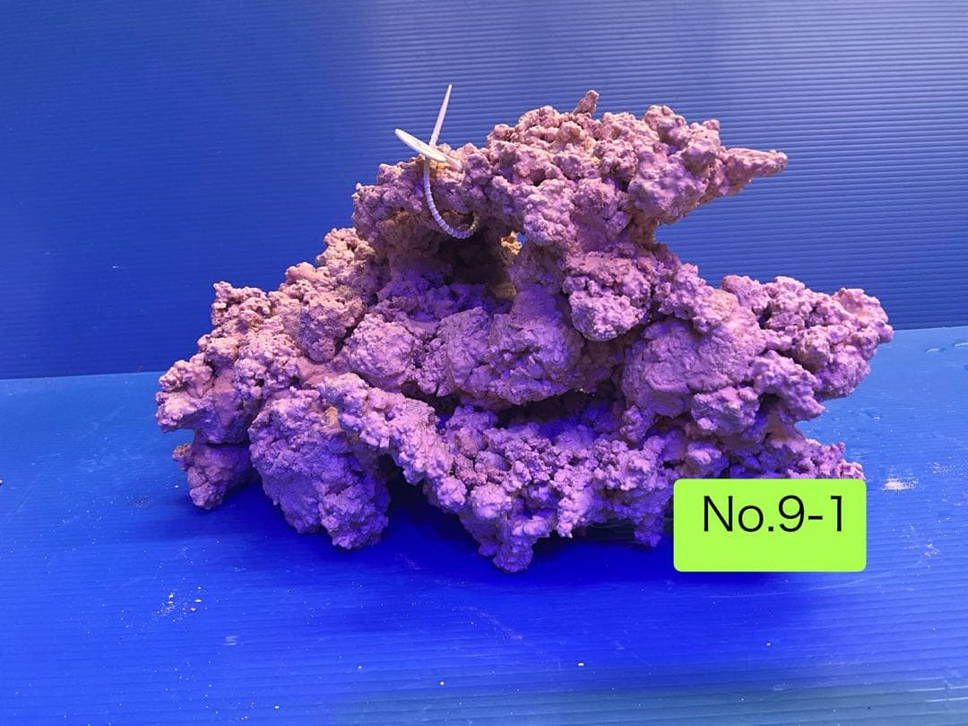 人工ライブロック　お魚たちの隠れ家　No.9-1CO2無害化処理済