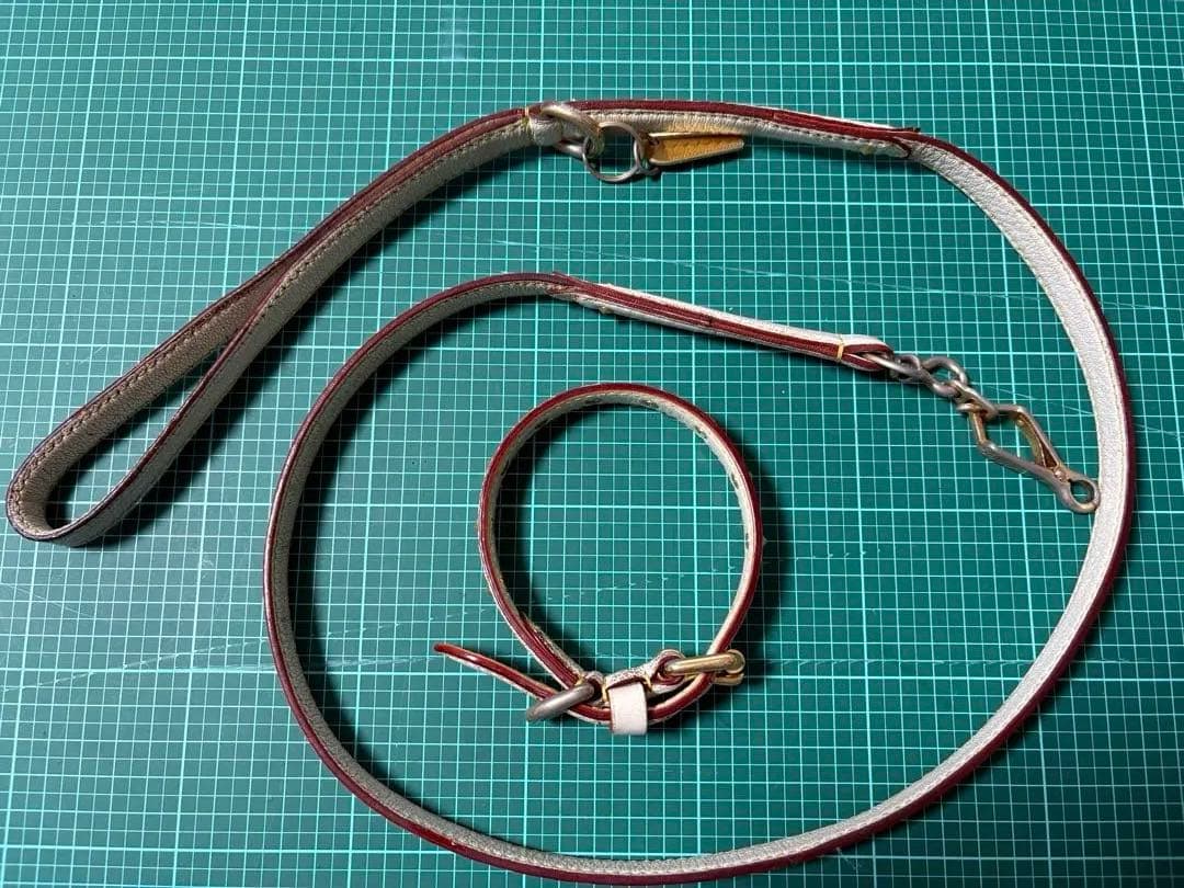 ルイ ヴィトン⭐︎首輪&リード ⭐︎スハリ⭐︎gucci⭐︎coach⭐︎