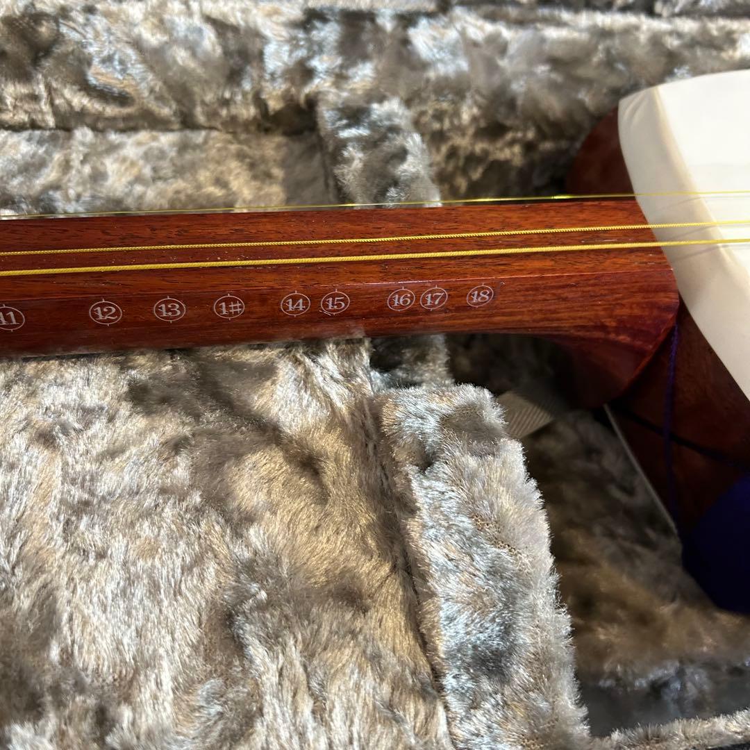 日本和楽器製造 銀河印 津軽三味線 入門セット　ハードケース