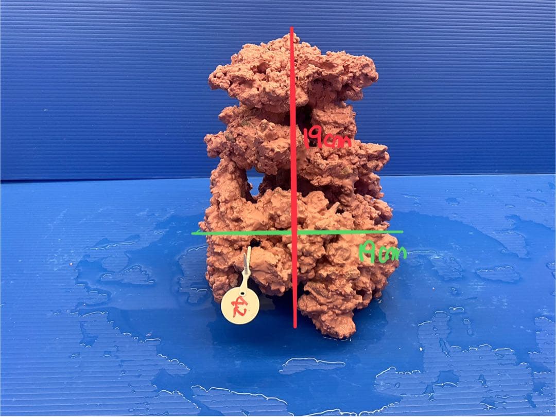 人工ライブロック. No.42. 無害化処理済