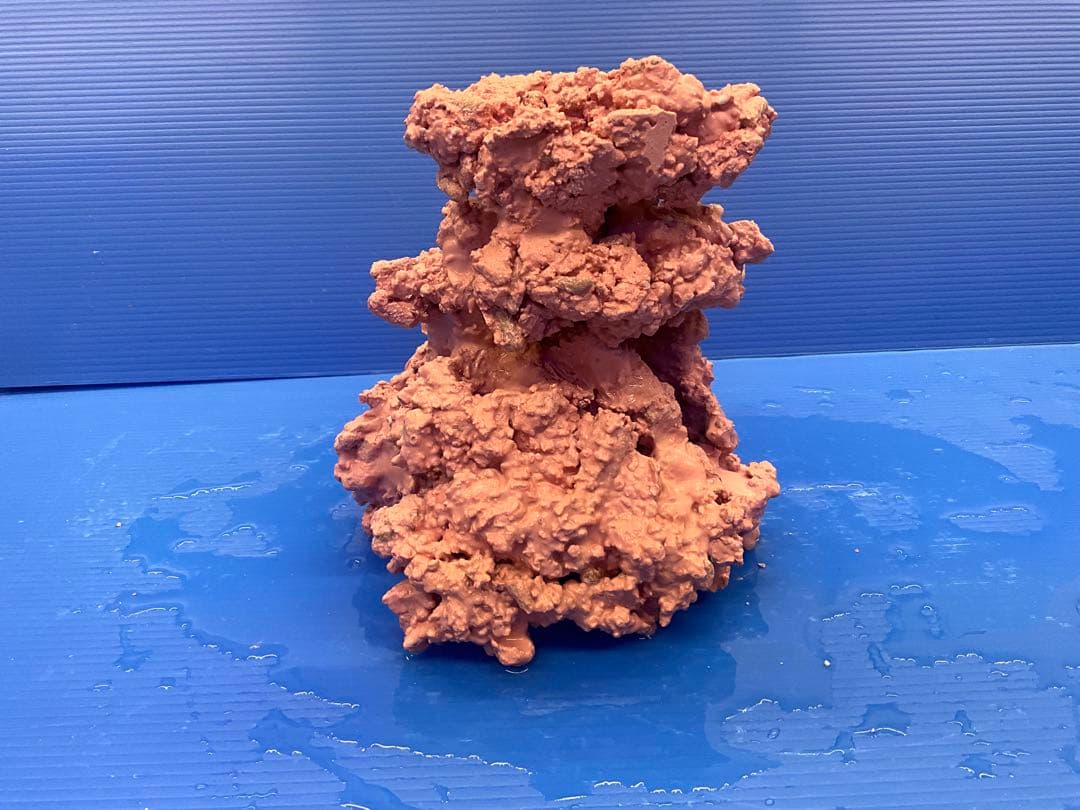 人工ライブロック. No.42. 無害化処理済