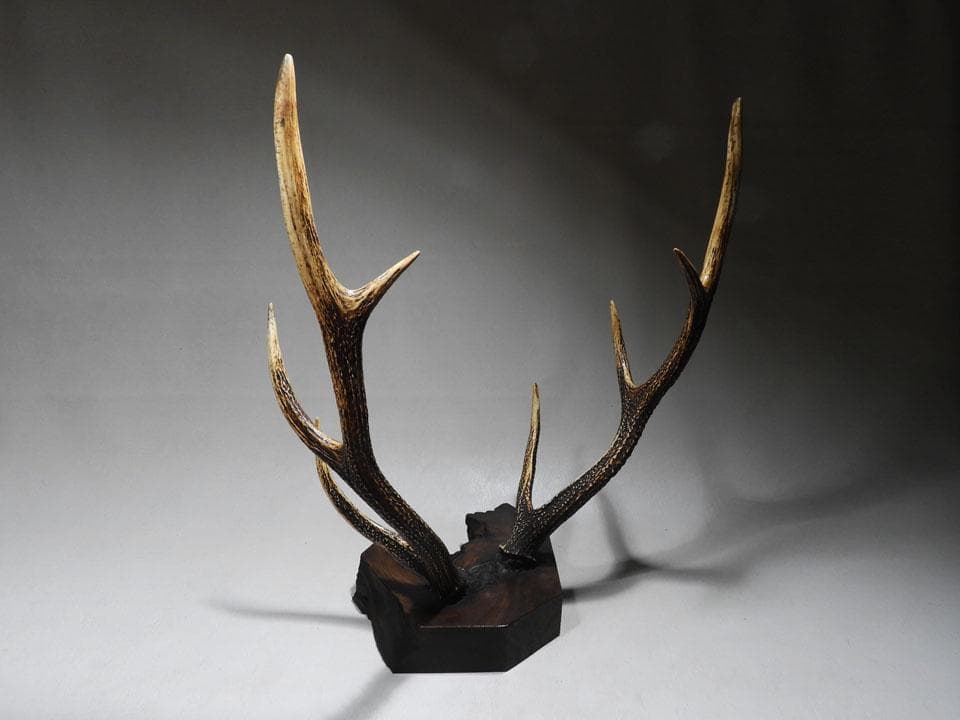 ●逆賊の幕臣 小栗忠順 小栗上野介忠順 所要 墨書 鹿角 刀掛け 三刀掛け 幕末