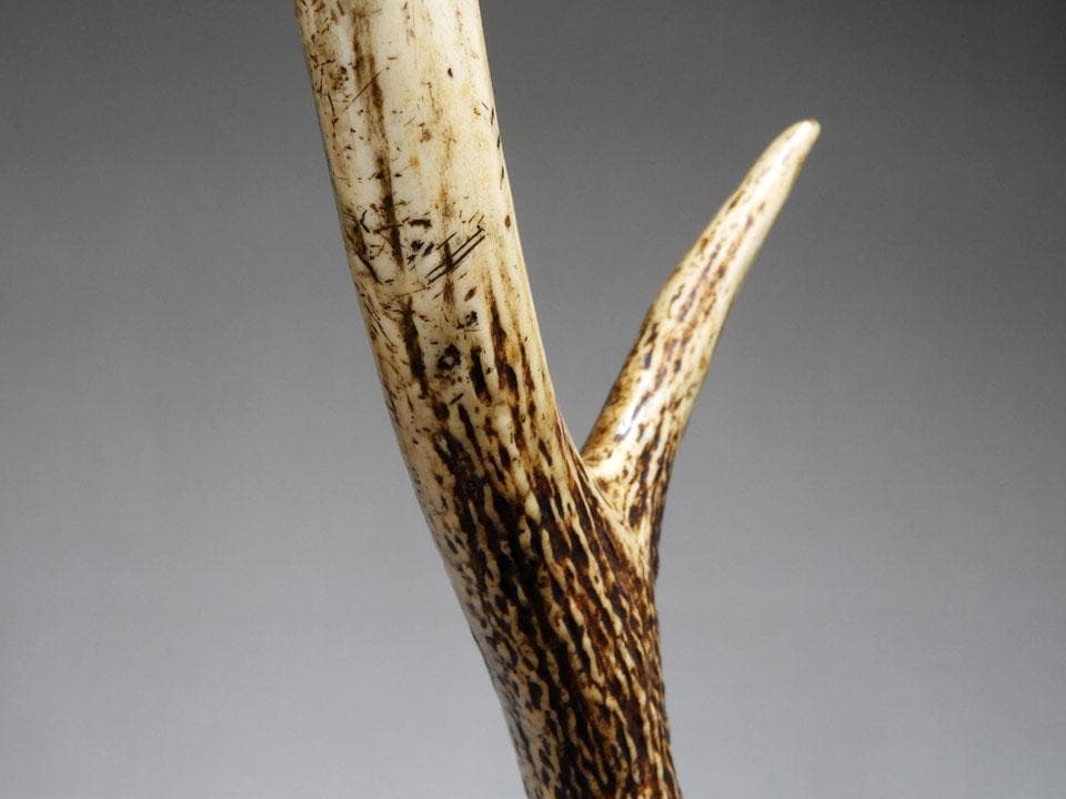 ●逆賊の幕臣 小栗忠順 小栗上野介忠順 所要 墨書 鹿角 刀掛け 三刀掛け 幕末