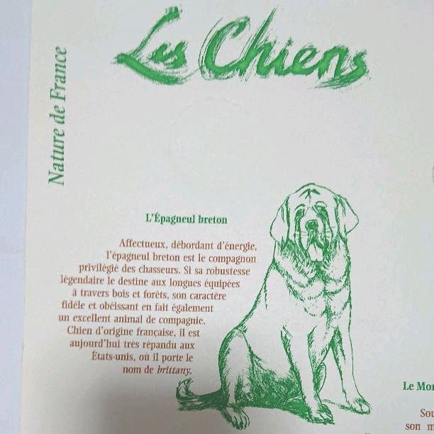 フランスのおしゃれな切手スタンプ