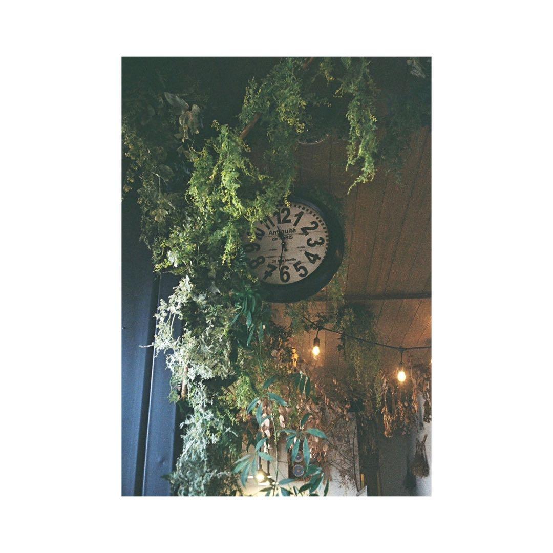 ⌘オーバーホール、実写確認済み！ OLYMPUS PEN EE-3⌘