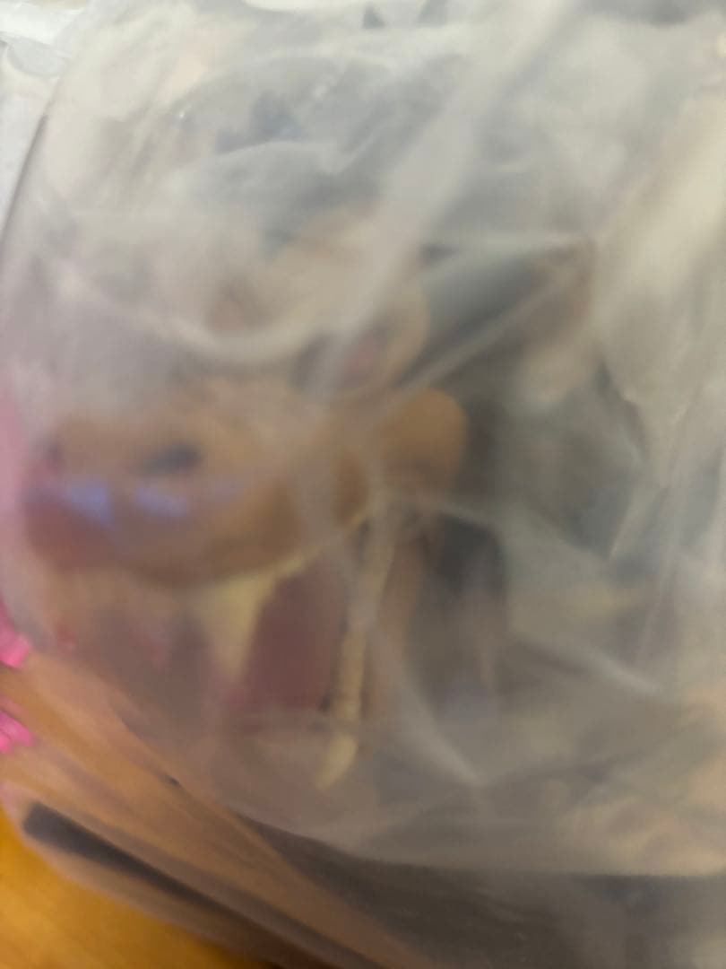 ドラゴンボール一番くじラスト賞　大猿