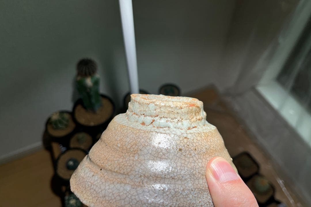 崎陽高麗 小井戸茶碗 （川瀬 隆一郎作）共箱 【茶道用抹茶碗】