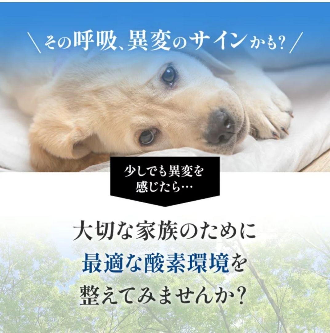 NEVOTON MAF mini 1.0 酸素濃縮器セット+ Sサイズ酸素室