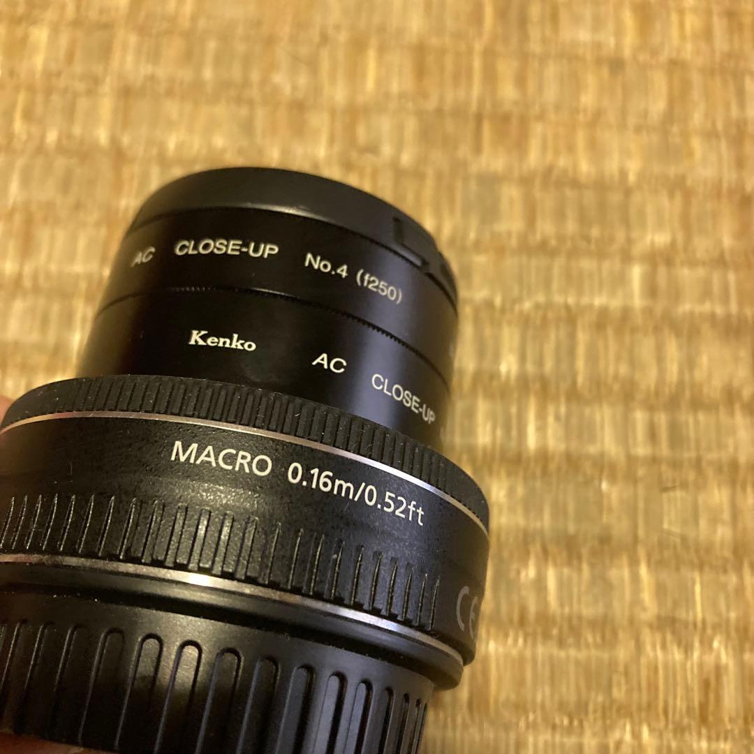 Canon EFS 24mm マクロレンズ＋ Kenko クローズアップレンズ