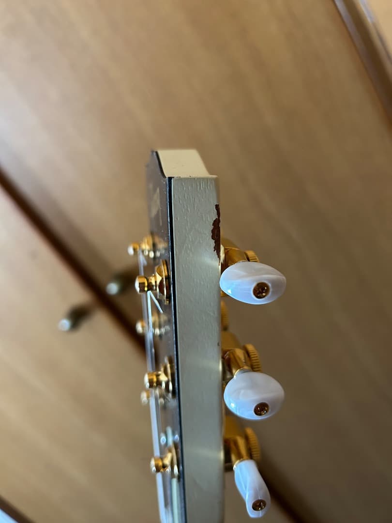 2011 Gibson USA Les Paul Junior アップグレード付