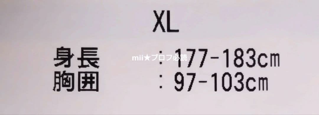 Under Armour ドラクエコラボ Tシャツ XLサイズ 黒 1枚