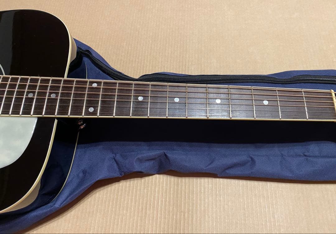 Epiphone DR-100 EB エボニー 純正ケース付