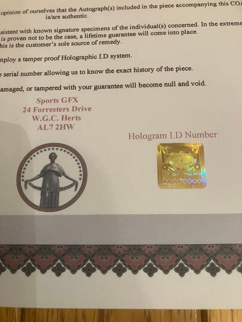 デーモン　ヒル　ウィリアムズルノー　直筆サイン　証明書付き　1995 FW17