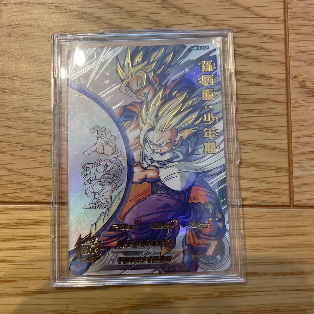 ドラゴンボール 孫悟空（少年期） 型番7 PPカード