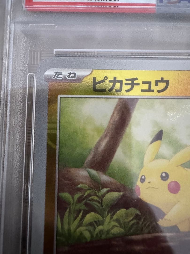 2023 POKEMON ピカチュウ マスターボールリバースホロ PSA10