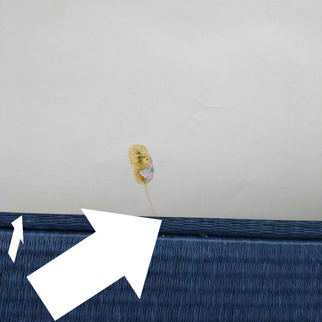 難アリ※ドラゴンボールZ(DRAGONBALL)非売品ポスター