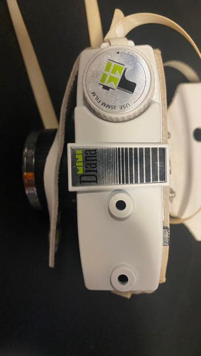 【レア】Lomo Diana mini ホワイト．グリーン　レザーケース付き