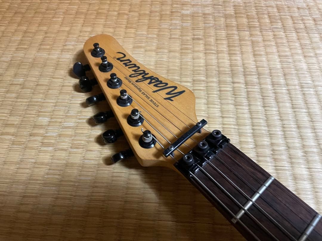 827021様用　Washburn ワッシュバーン