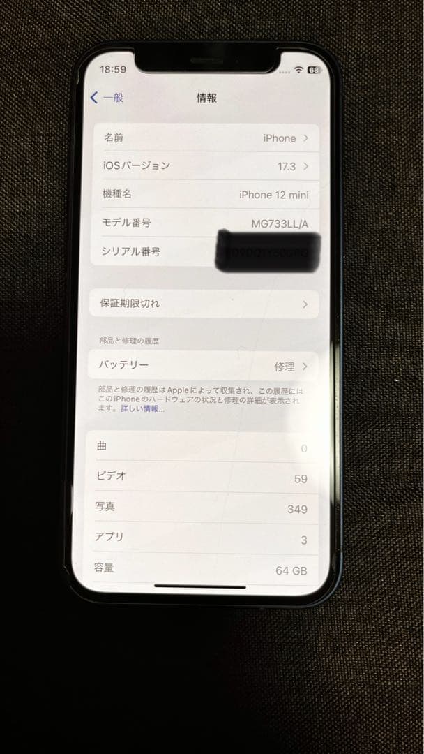 海外版　iPhone 12 mini シャッター消音　アメリカ Simフリー