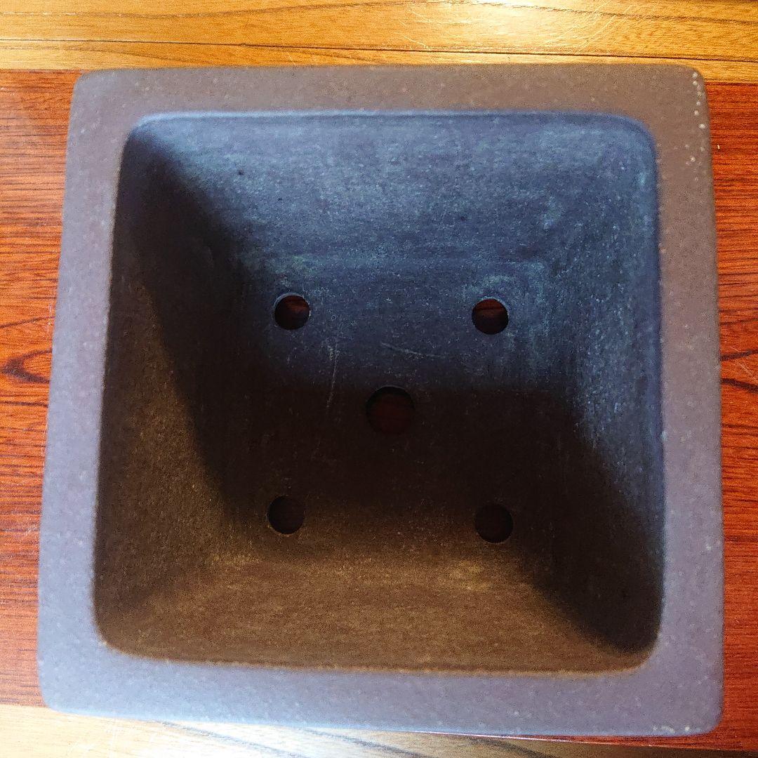 盆栽鉢 山秋造 松泉焼 常滑