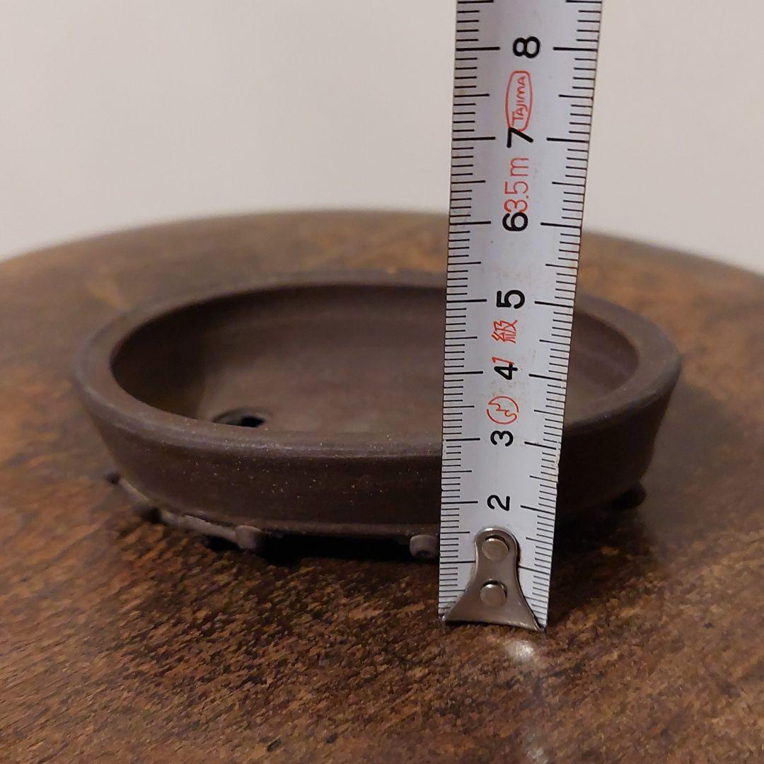 盆栽鉢　筒井竹二郎　泥珠　常滑焼