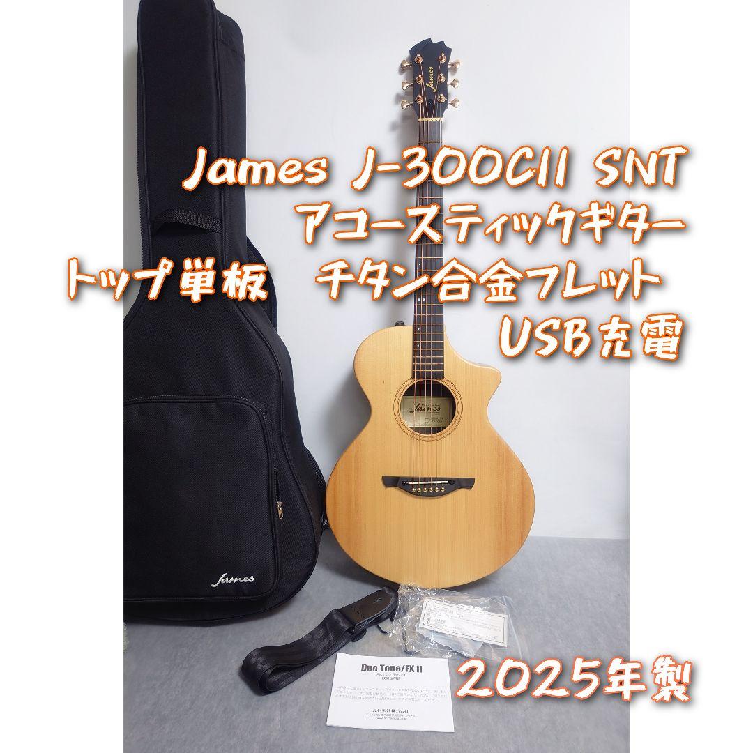 James J-300C11 SINT アコースティックギター