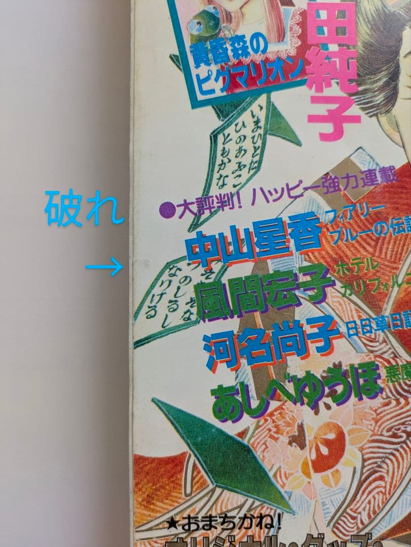 プリンセス　昭和58年1月　新年特大号　秋田書店　昭和レトロ