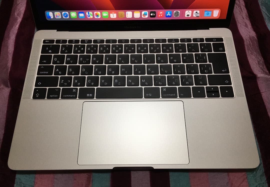 MacBook本体 Apple MacBook Pro 2017 8GB 250GB WIN11PR