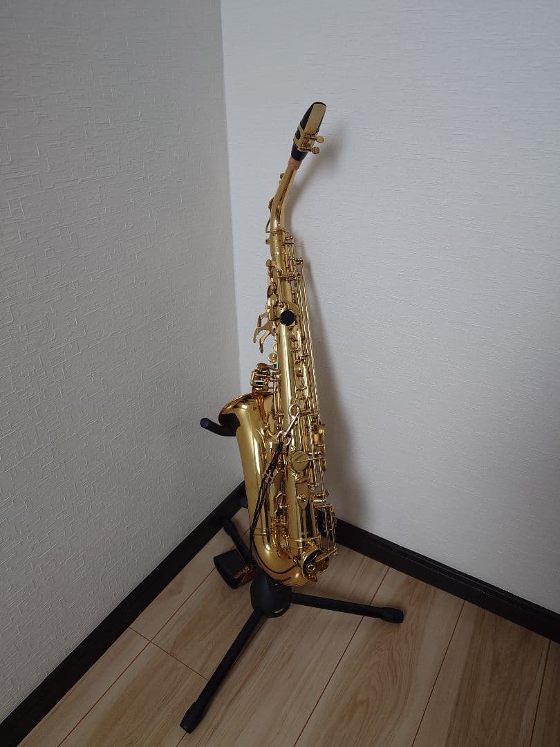 Easter アルトサックス ケース·お手入れ用品·スタンド付きセット