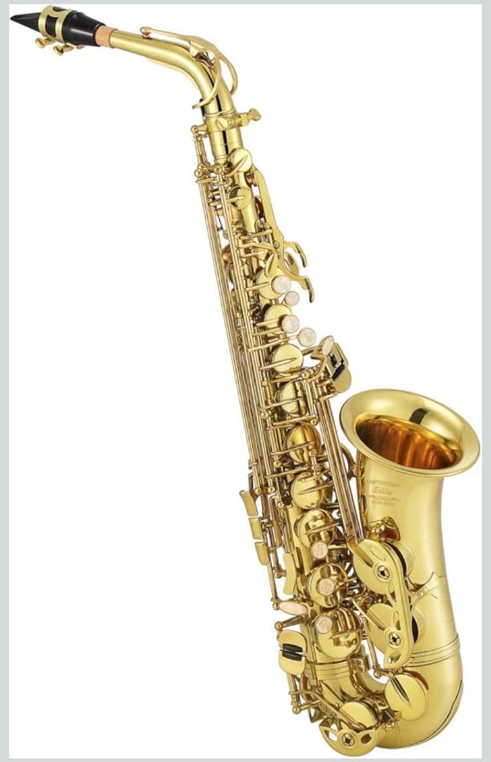 Easter アルトサックス ケース·お手入れ用品·スタンド付きセット