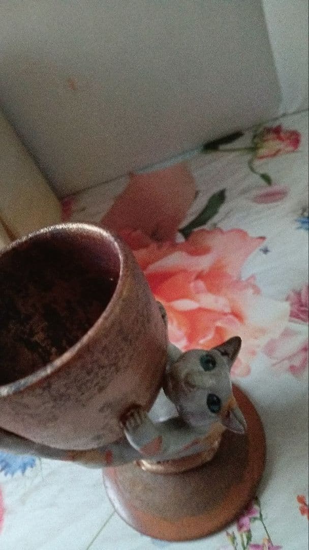 西村芳弘　アニマル杯　ネコノ話　セラミック　東京大丸　個展購入