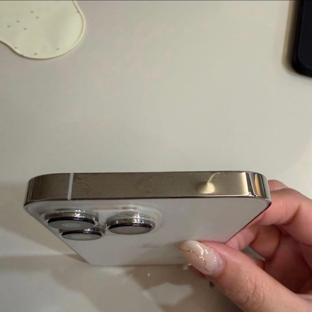 Y*r様 Apple iPhone 13 Pro シルバー 1TB SIM フリ