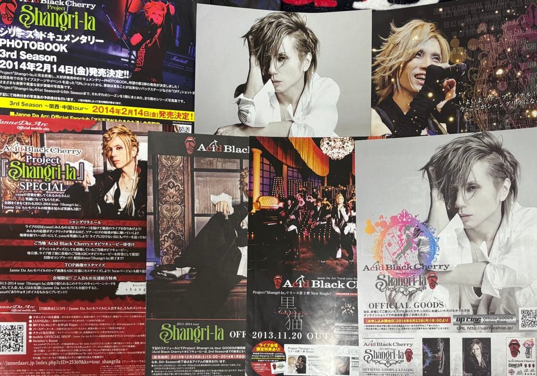 Acid Black Cherry グッズ