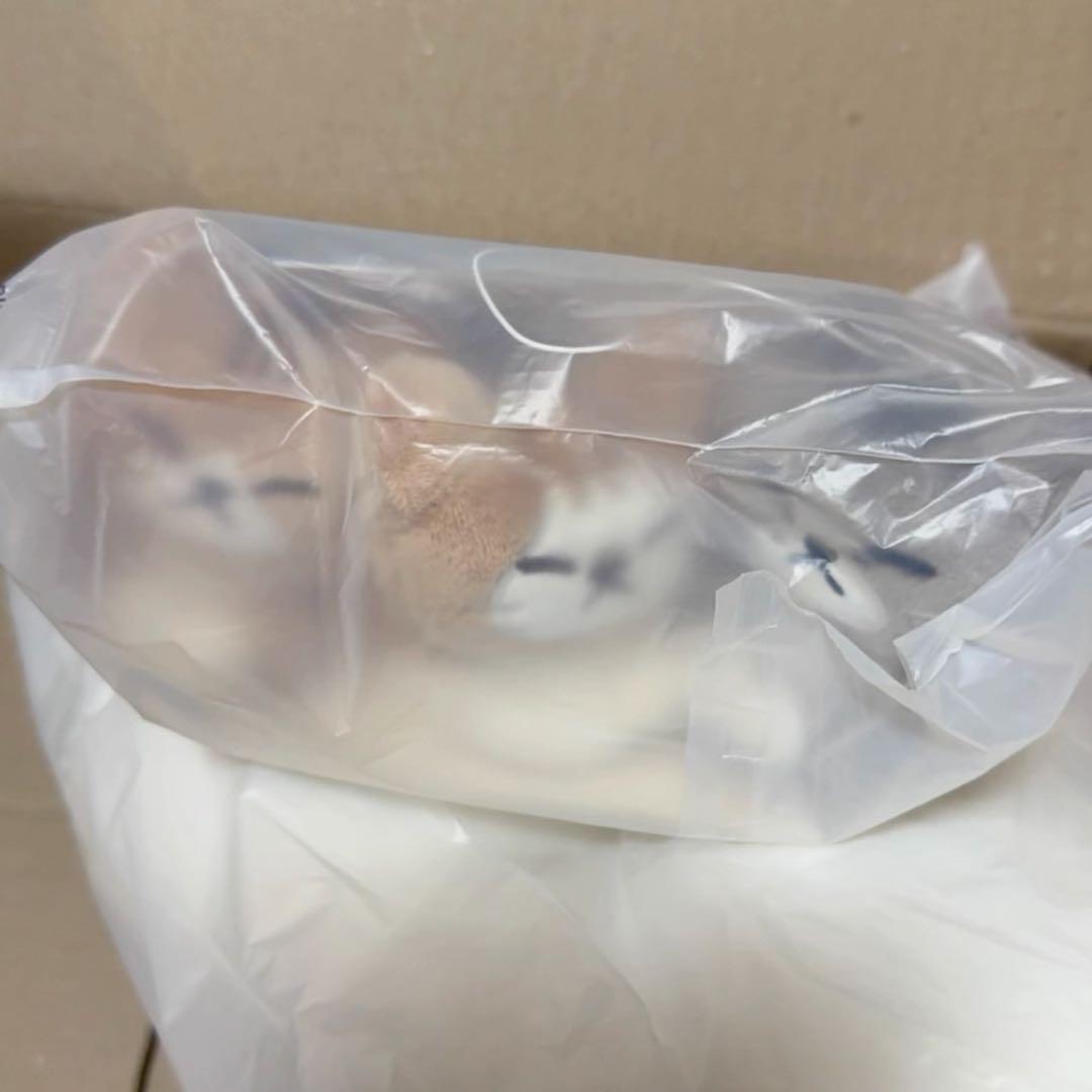 リノ メンプロ アンコン domiATE スンドゥンドリ キーリング トレカ