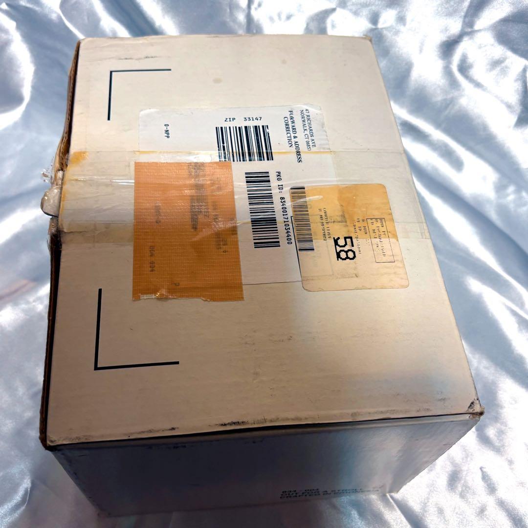 【ベティ・ブープ】BettyBoopフィギュア/激レア/希少/可愛い/愛犬の散歩