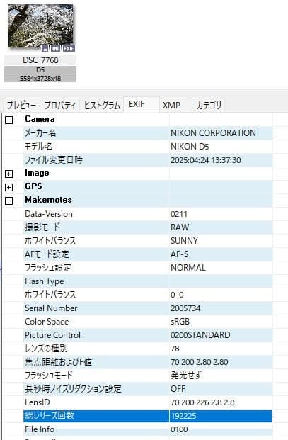 Nikon D5 一眼レフカメラ