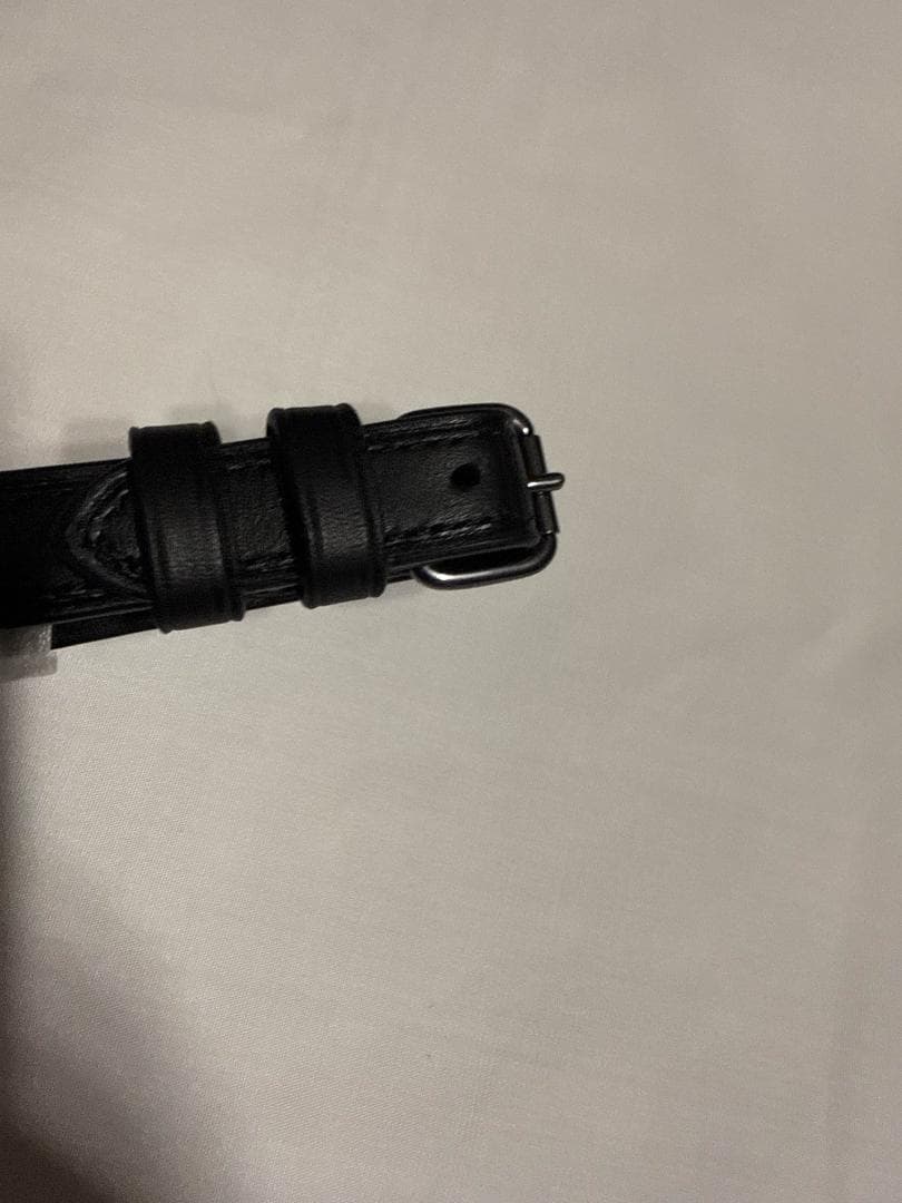 コーチ COACH ネームタグ ラゲッジタグ グリーンマルチ