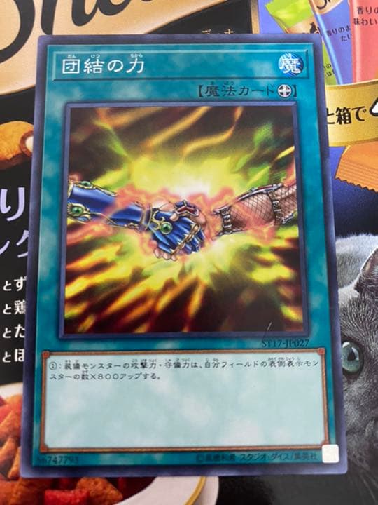 遊戯王 団結の力