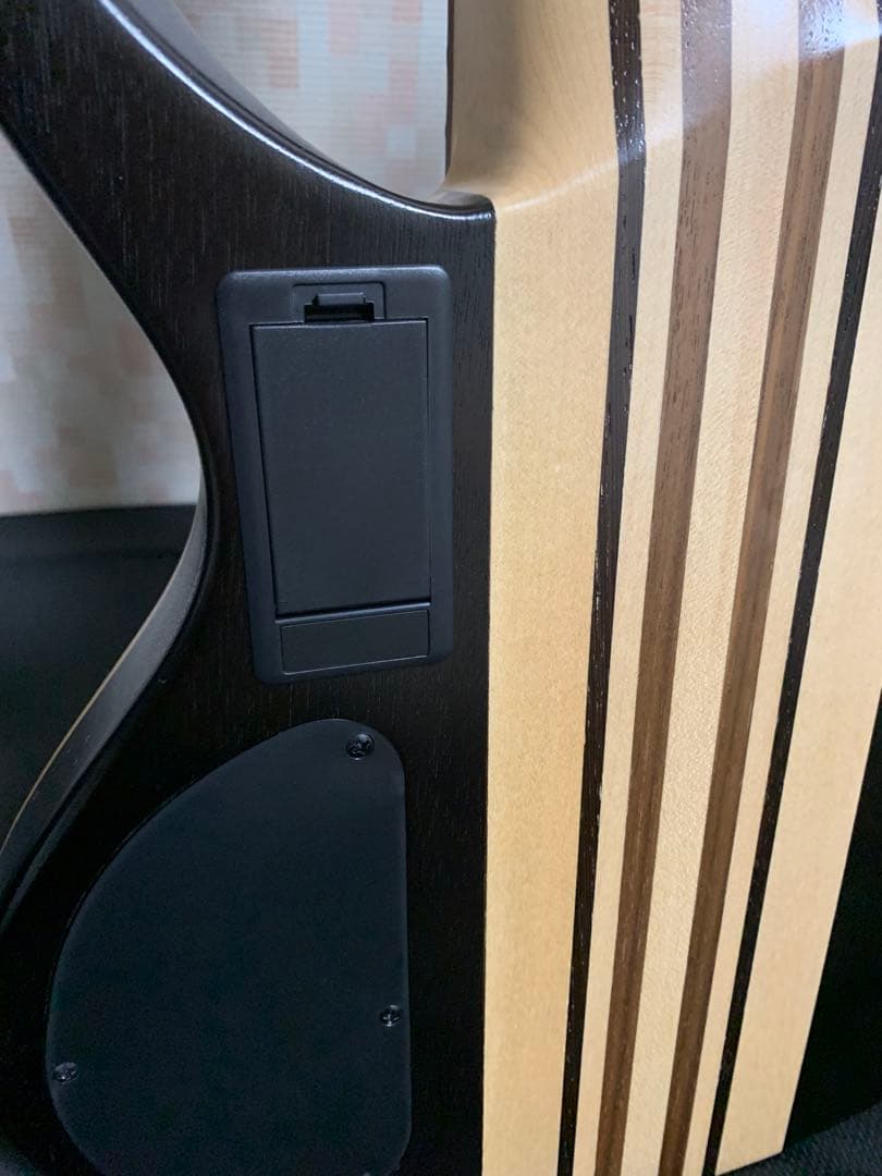 アイバニーズ　7弦ベース［フィンガーランプ．フレットラップ付き］