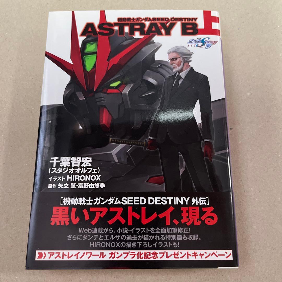 機動戦士ガンダムSEED DESTINY ASTRAY B 初版上下巻セット