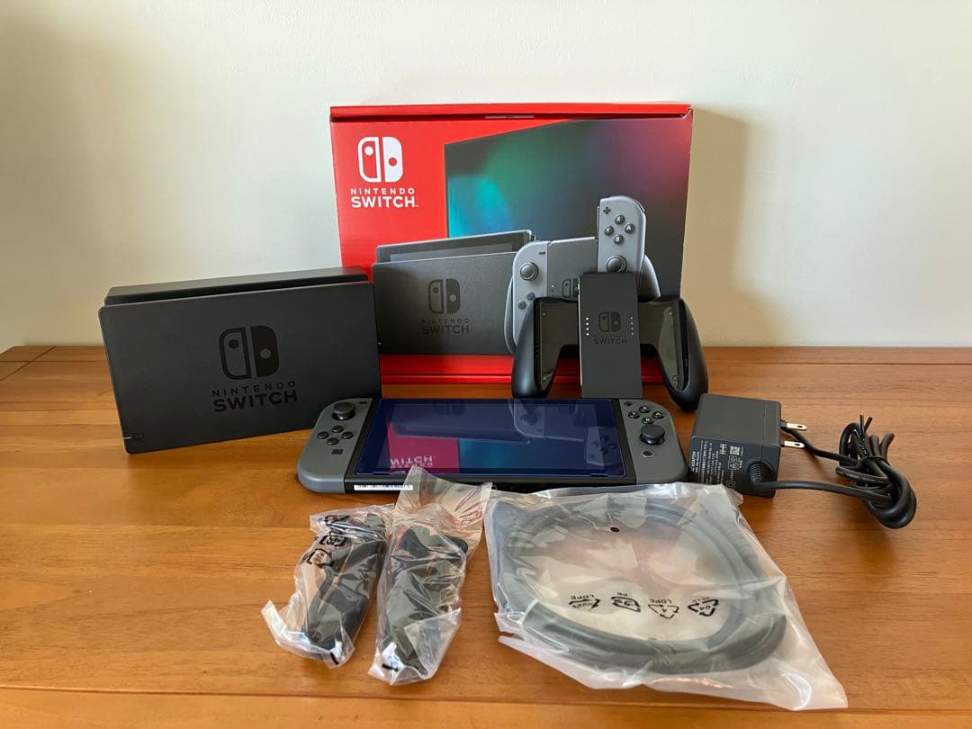 Nintendo Switch グレー 本体 動作確認済/保護ケース付