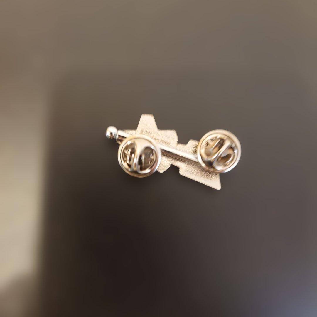 科学特捜隊・流星ピンバッジ2種　美品　限定非売品　ウルトラマン