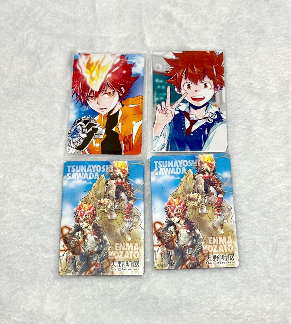 天野明展　購入特典自撮り風カード　沢田綱吉