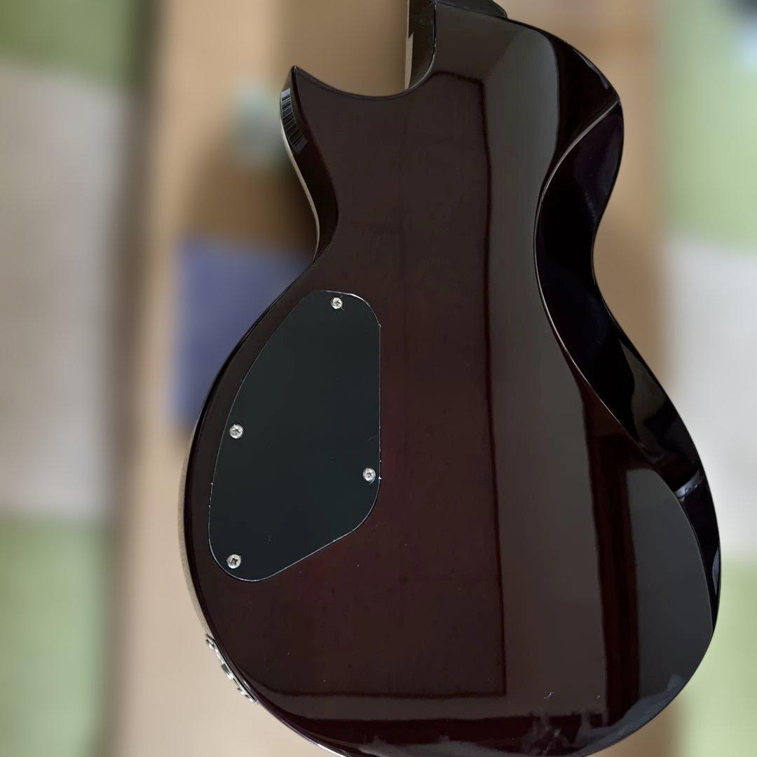 EART EGLP-620 ステンレスフレット