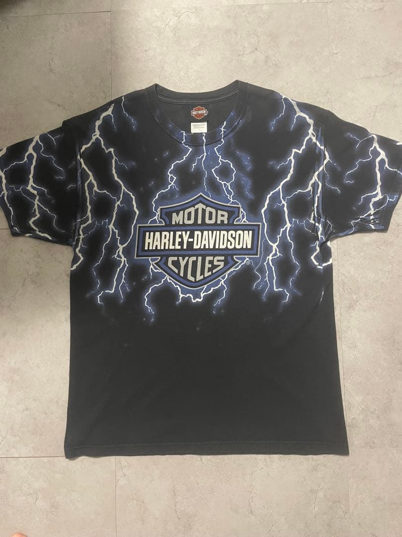 激レア！90sハーレーTシャツ！ブルーフレーム！