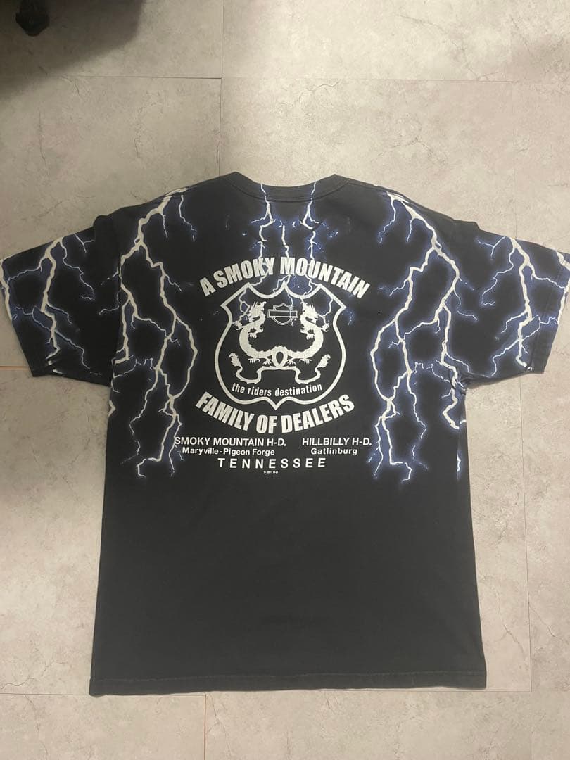 激レア！90sハーレーTシャツ！ブルーフレーム！